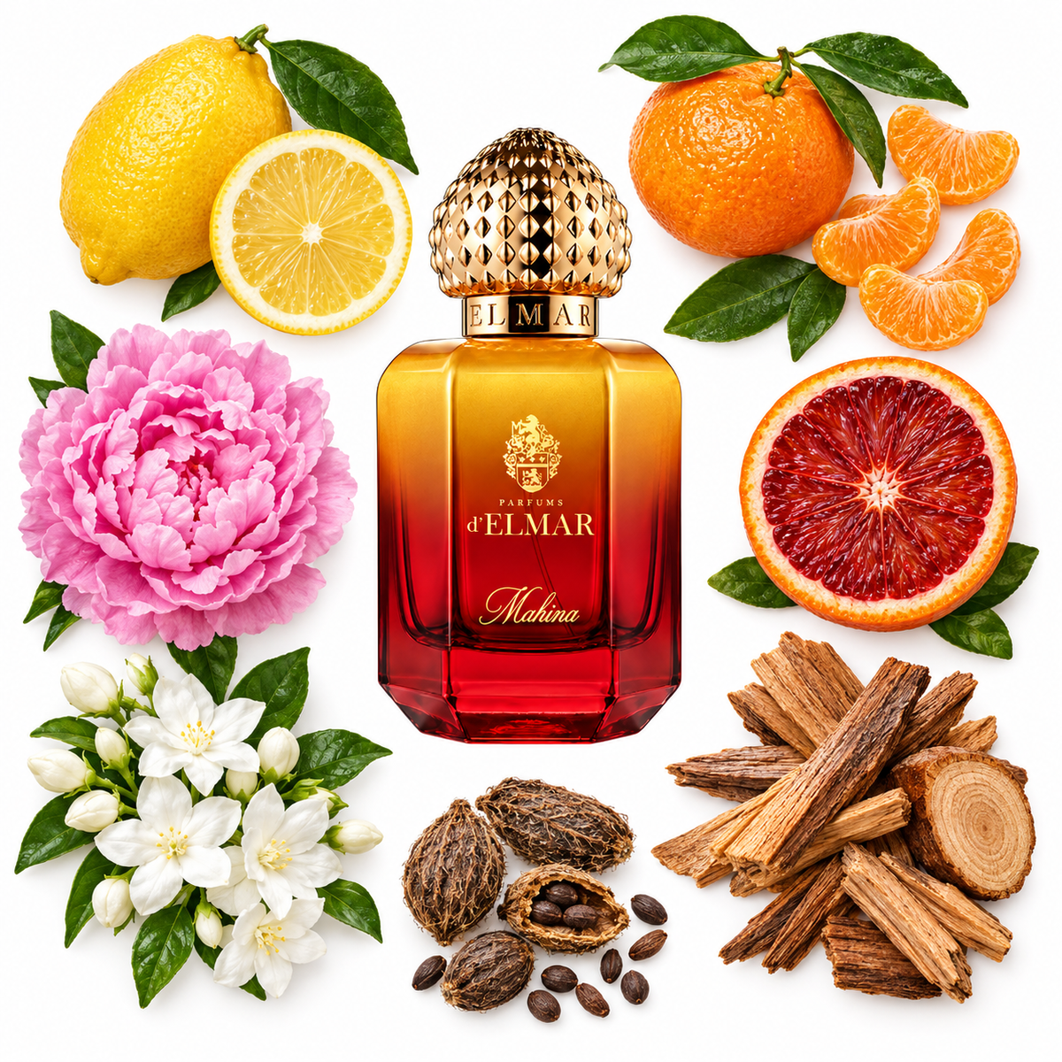 d'Elmar MAHINA Eau de Parfum with scent notes