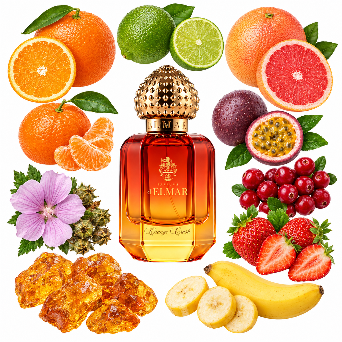 d'Elmar ORANGE CRUSH Extrait de Parfum with scent notes