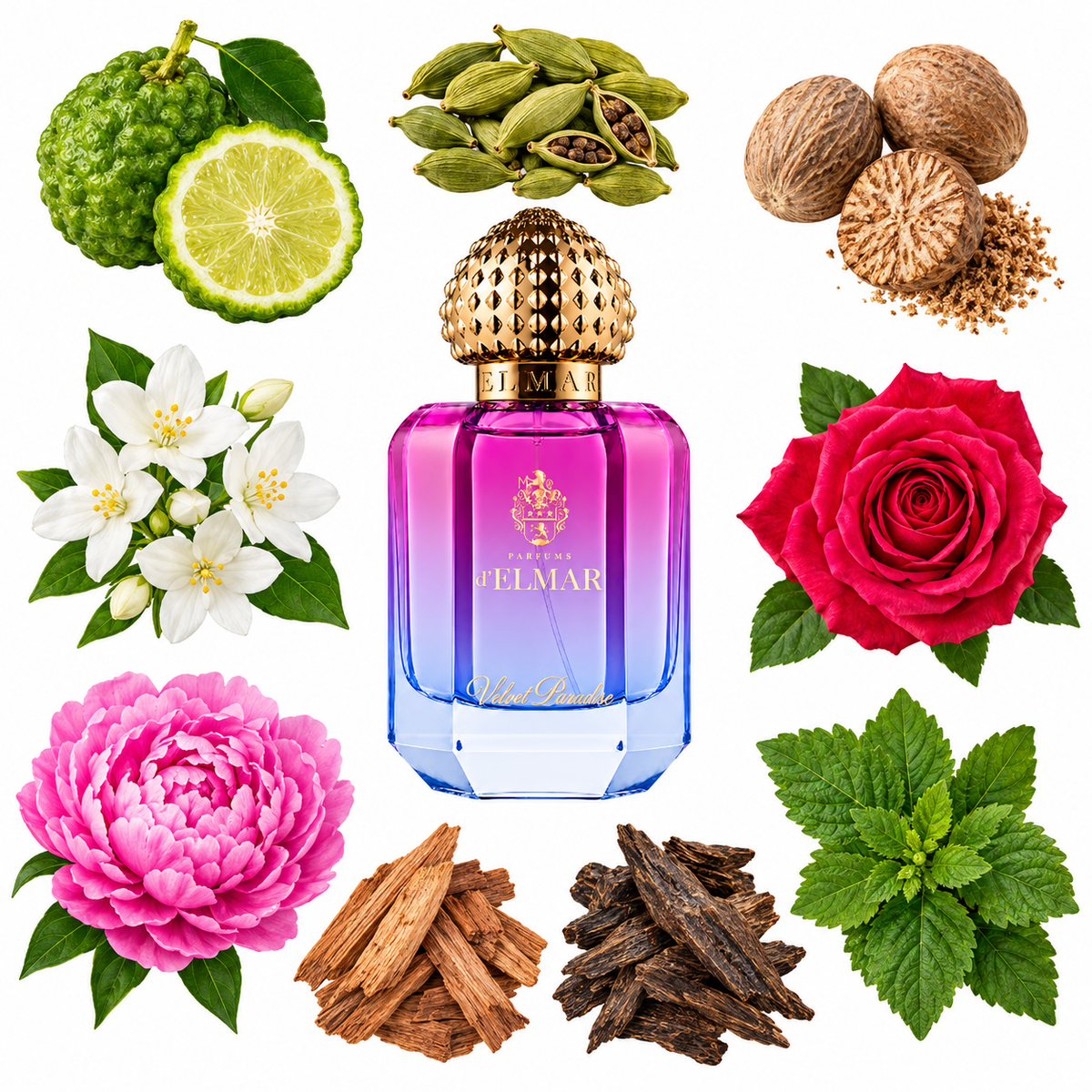 d'Elmar VELVET PARADISE Extrait de Parfum with scent notes