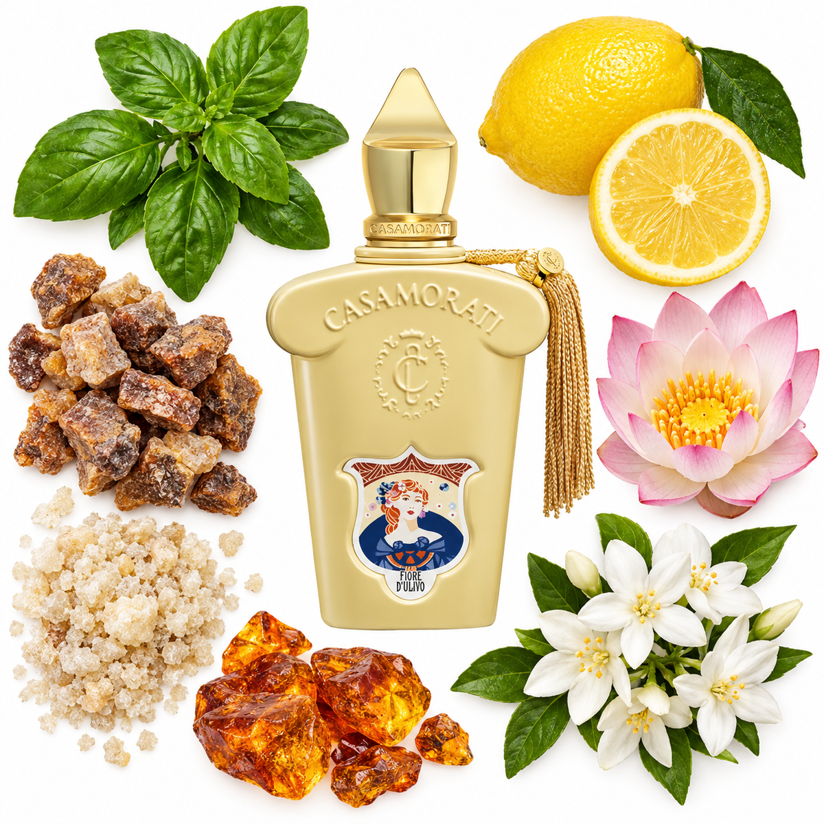 Casamorati 1888 Fiore d'Ulivo Eau de Parfum