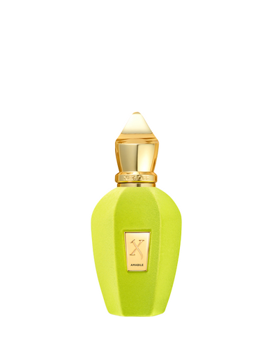 Xerjoff Amabile 100 ml